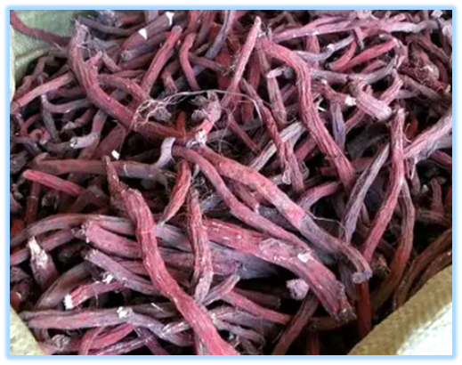 Essential Knowledge of Chinese Medicine: Dan Shen