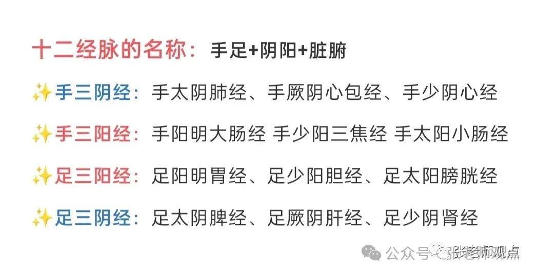 Differentiation of Eight Principles and Six Meridians (Liu Duzhou)