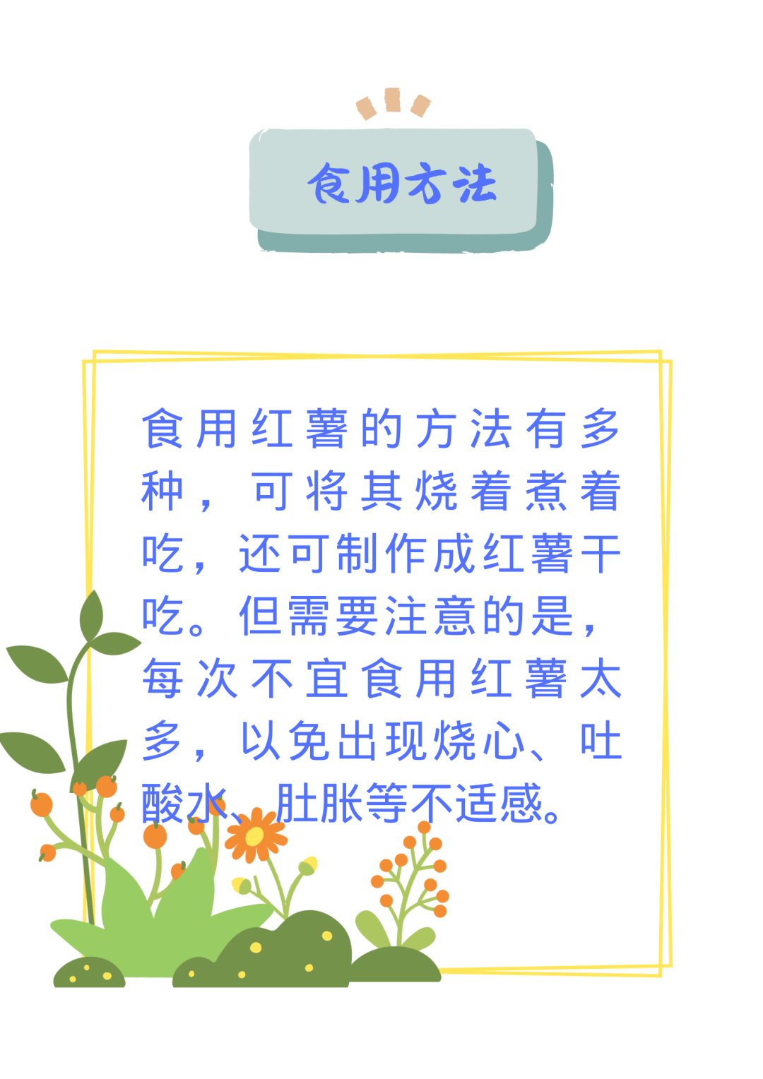 Comprehensive Guide to Dietary Therapy in Traditional Chinese Medicine! Everything You Need in One Article (Save This)