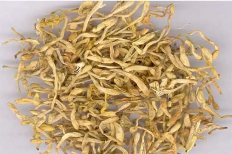 Understanding Jin Yin Hua (Honeysuckle) in Traditional Chinese Medicine
