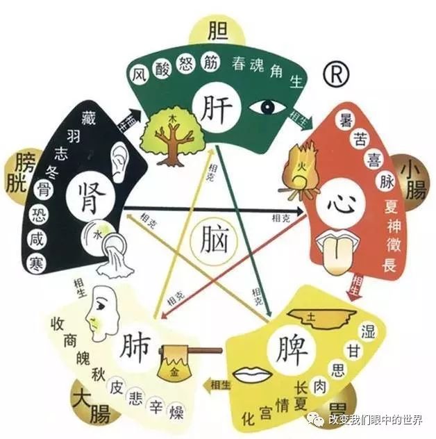 Ni Haixia Discusses the Characteristics of Disease Caused by the Seven Emotions