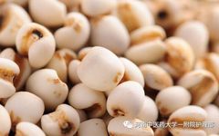 Traditional Chinese Medicine Dietary Therapy: Coix Seed as a Powerful Anti-Cancer Remedy
