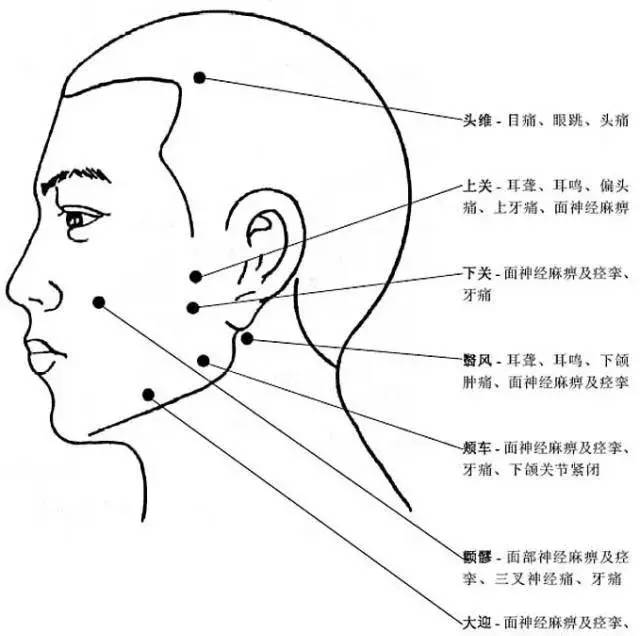 Comprehensive Explanation of Human Acupuncture Points and Their Effects: A Must-Read for Acupuncture Students!
