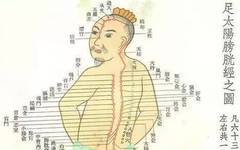 The Channels, Collaterals, Sinews, and Skin Areas in Traditional Chinese Medicine