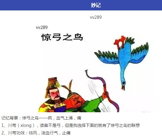Understanding a Chinese Herb Every Day: Chuanxiong (Ligusticum chuanxiong)