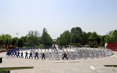 The 19 Benefits of Practicing Tai Chi