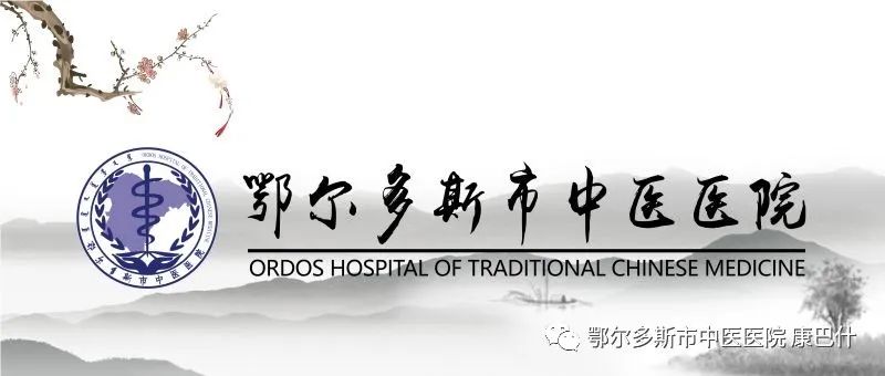 The Herbal Realm | Lian Qiao (Forsythia)