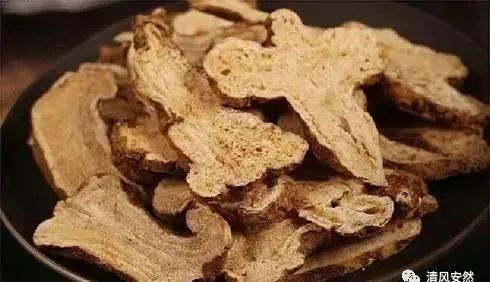 Heavy Dampness, Many Ailments! Recommended 7 Herbs for Dampness Removal (Includes Formulas and Recipes)