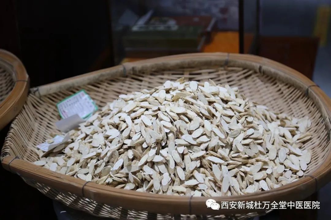 Understanding Spleen and Stomach Yang Deficiency: A Guide to TCM Regulation