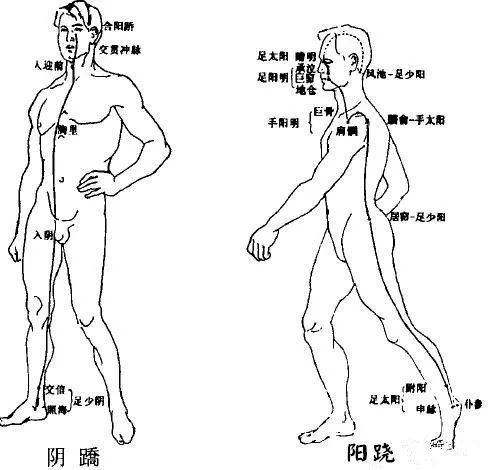 Comprehensive Summary of the Eight Extraordinary Meridians and Their Functions