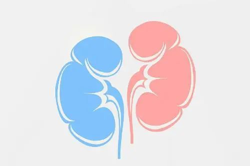 What is Kidney Yang Deficiency? Why Does It Occur? What Are the Improvement Methods?