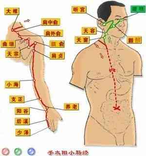 The Huangdi Neijing: Meridians, Determining Life and Death, Addressing Hundreds of Diseases