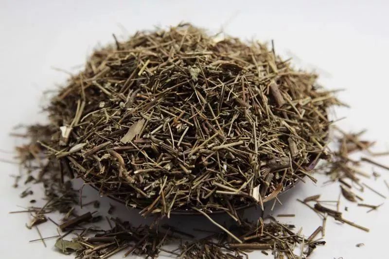 This Herb Treats Snake Bites, Eczema Itching, and More!