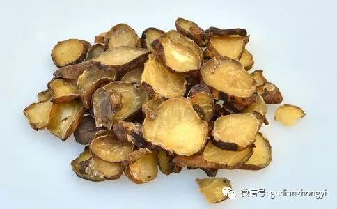 Fuzi: The Divine Weapon to Support Yang Qi and the Primary Medicine for Rescuing Yang from Reversal!
