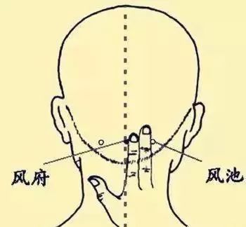 Common Acupuncture Points and Their Effects! (Illustrated Version)