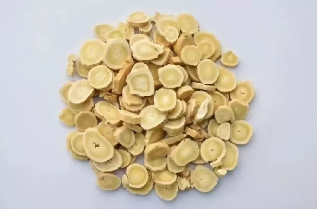 Astragalus—The King of Qi Tonics