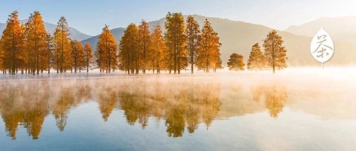 Autumn Equinox Health Preservation: Balancing Yin and Yang