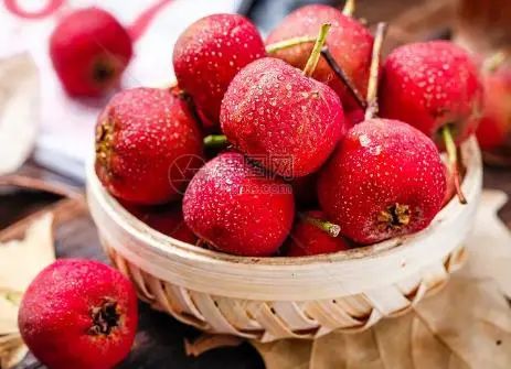 Dan Shen and Its Synergistic Effects: A Natural Approach to Improve Blood Circulation and Prevent Cardiovascular Diseases