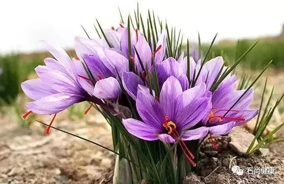 Causes of Internal Injury in Traditional Chinese Medicine