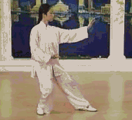 Comprehensive Guide to Tai Chi Movements: Exercise at Home!