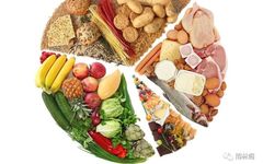 The Theories of Disease Etiology in Traditional Chinese Medicine: Dietary Imbalance and Work-Rest Balance (Internal Injury Causes)