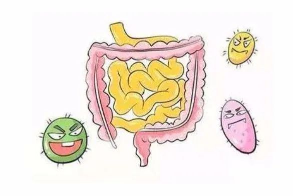 Treatment of Intestinal Damp-Heat Syndrome in Traditional Chinese Medicine