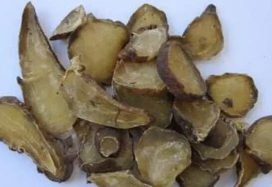 The Efficacy and Usage of Aconite (Fu Zi)