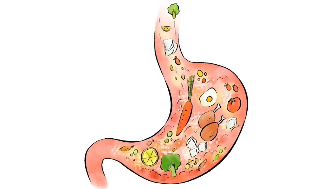 For Those with Phlegm-Dampness and Qi Deficiency: The Most Important Step in Nourishing Qi and Blood