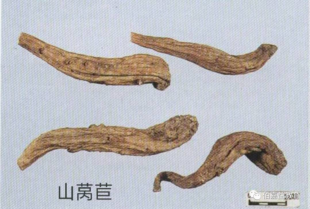 How to Distinguish Genuine from Fake Ginseng