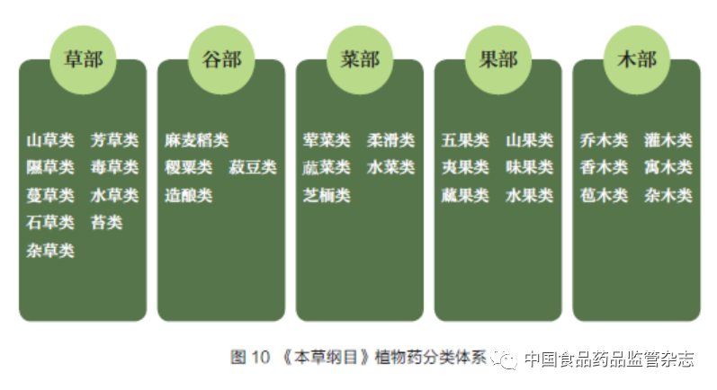 Zhao Zhongzhen: Li Shizhen and the Compendium of Materia Medica