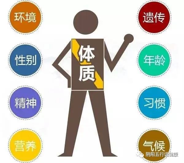 Comprehensive Guide to TCM Constitution and Health Preservation (9 Types of Constitutions)