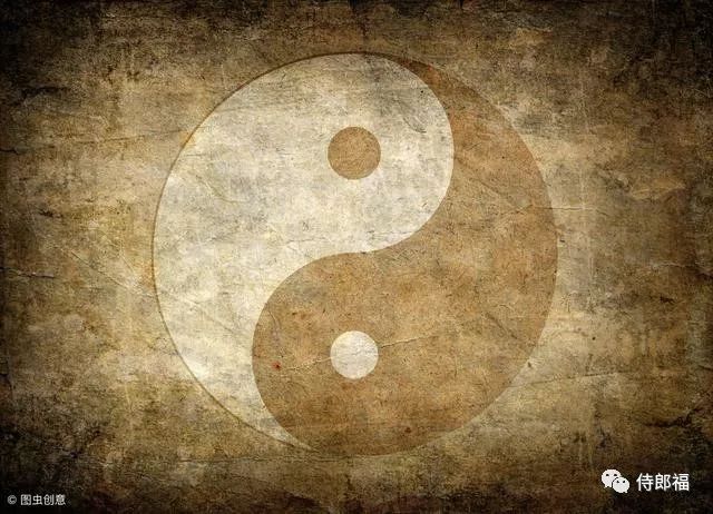 Understanding the Methods of Dampness Elimination in Traditional Chinese Medicine: Drying, Draining, Transforming, Promoting, and Overcoming Dampness