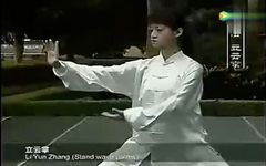 Understanding the Fundamentals of Tai Chi: Are Your Basics Correct? (Comprehensive Guide)