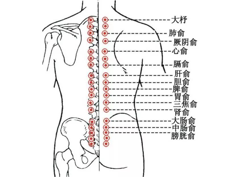 The Benefits of Gua Sha Detoxification for Women