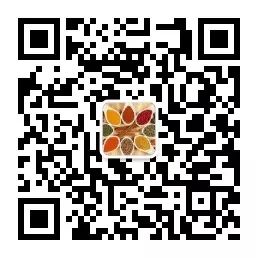 The Efficacy and Functions of Bai Shao: Nourishing Blood, Regulating Menstruation, Astringing Yin, and Alleviating Pain