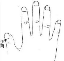 Definition and Functions of Bloodletting in Traditional Chinese Medicine