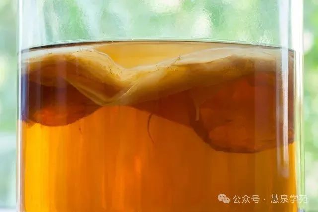 Unlocking the Secrets of Efficient Microbial Fermentation Processes in Traditional Chinese Medicine