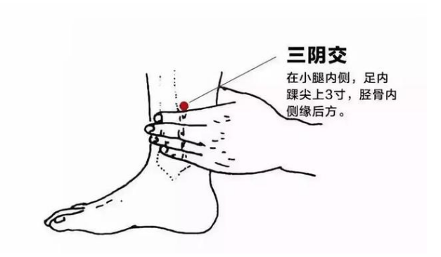 The Benefits of Gua Sha Detoxification for Women
