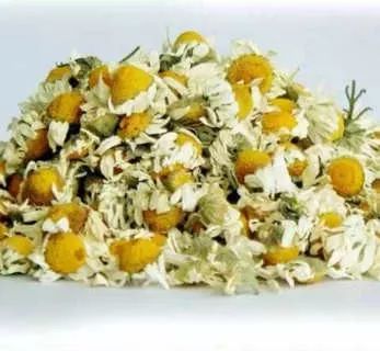 19 Foods for Health and Healing