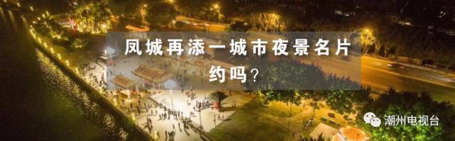 Differences Among Ginseng, Danshen, Codonopsis, American Ginseng, and More: Effects and Usage Explained