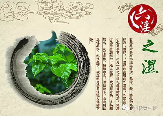 The Six Excesses and Their Syndromes in Traditional Chinese Medicine