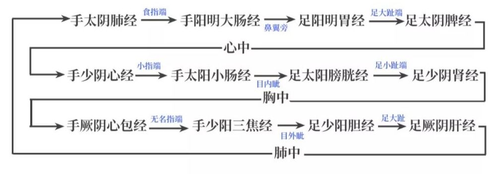 The Pathways and Interconnections of the Twelve Meridians