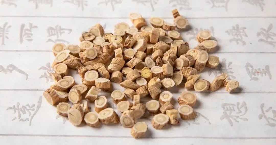 The Marvelous Uses and Contraindications of Huang Qi (Astragalus)