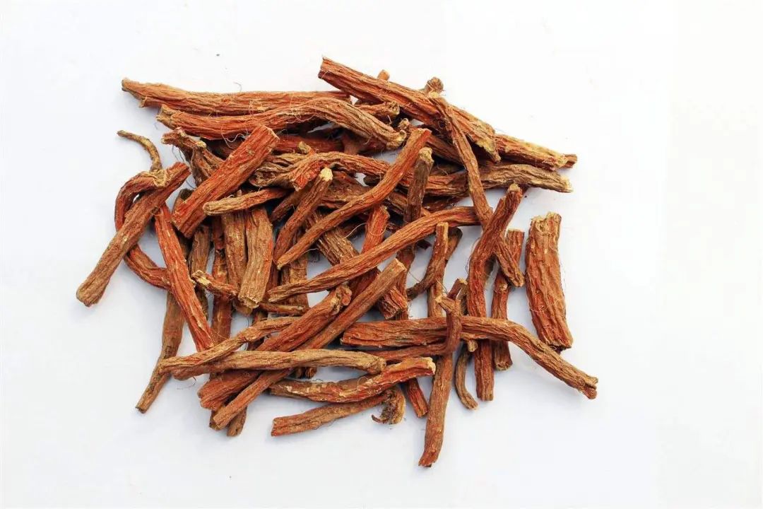 The Efficacy and Functions of Dan Shen (Salvia miltiorrhiza)