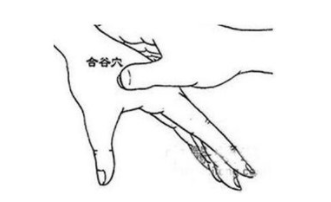 The 12 Essential Acupuncture Points for Treating Various Ailments!