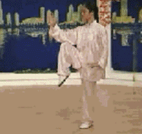 Comprehensive Guide to Tai Chi Movements: Exercise at Home!
