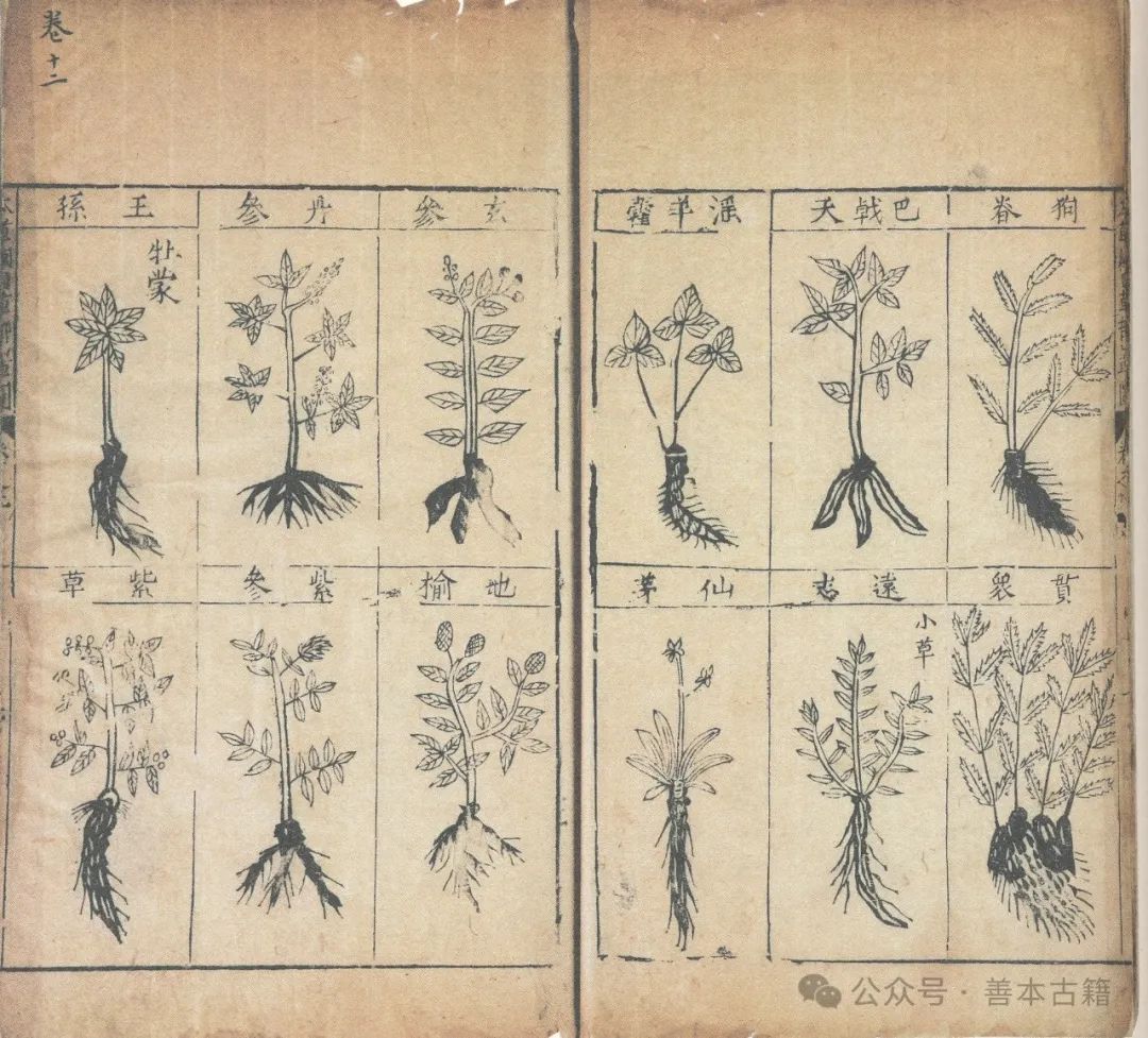 The Publication and Impact of the Jinling Edition of the Compendium of Materia Medica