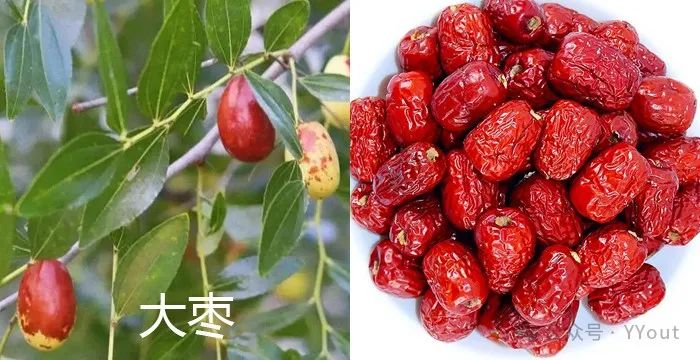 9 Effective Folk Remedies for Treating Anemia in Traditional Chinese Medicine