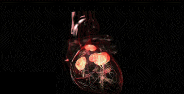 Damp Heat is More Dangerous than Dry Heat: Heart Burden Increases Above 34°C
