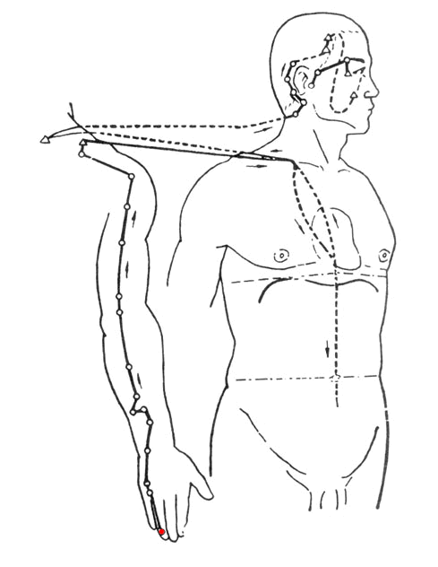 The Flow of the Twelve Meridians: A Guide to Health Maintenance Over 24 Hours